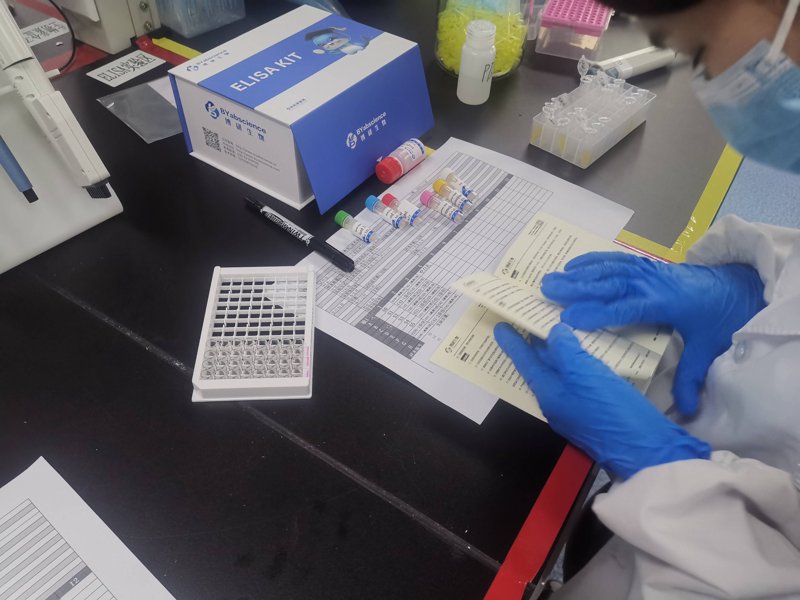生物制品代工：行业的快速发展与创新趋势