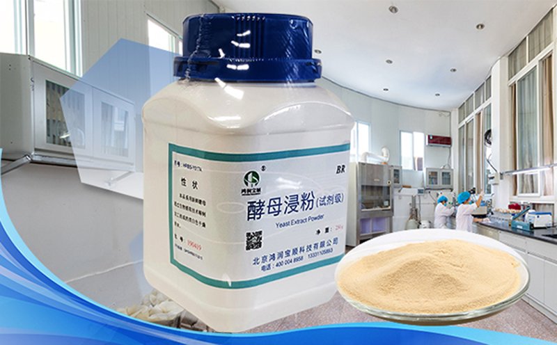 生物科技：技术革新与产业未来
